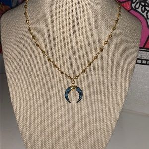 Horn Necklace